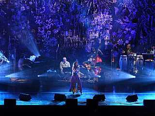 Fotos do estabelecimento Via Funchal