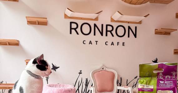 Ronron Cat Café