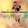 Arena Neymar Jr. Guia BaresSP