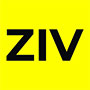 ZIV Gallery Guia BaresSP