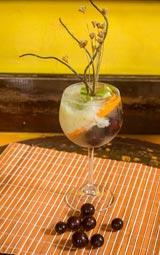 Drink O brasil é aqui! (Amazônia + Mata Atlântica) Drink O brasil é aqui! (Amazônia + Mata Atlântica)