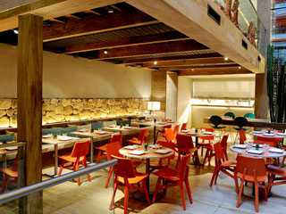 Alma María Alma María