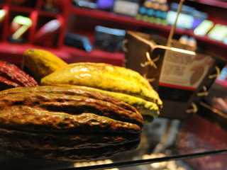 Valrhona Chocolat Et Lounge Valrhona Chocolat Et Lounge