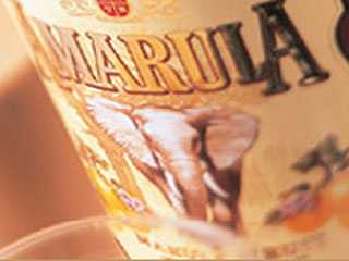 Amarula - Bacardi Martini Do Brasil