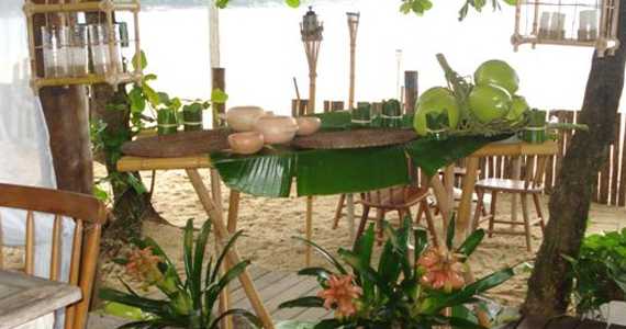 Barracuda Beach Bar Barracuda Beach Bar