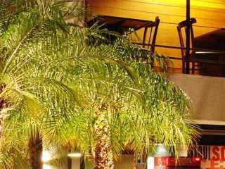 Cervejaria Devassa - Campinas Cervejaria Devassa - Campinas