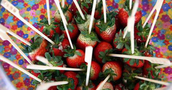 Copo D Água Produções Gastronômicas Copo D Água Produções Gastronômicas