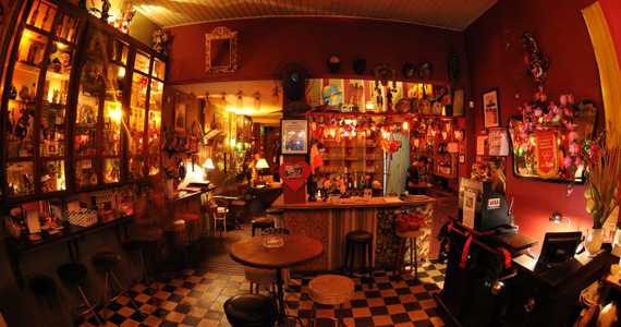 Drosophyla Drosophyla