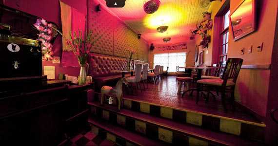 Drosophyla Drosophyla