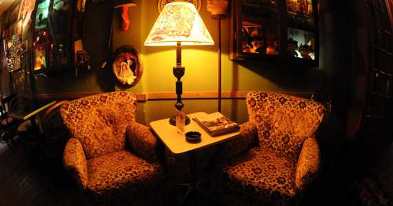 Drosophyla Drosophyla