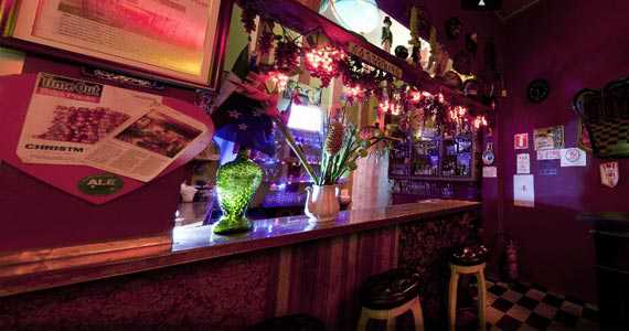 Drosophyla Drosophyla