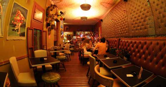 Drosophyla Drosophyla