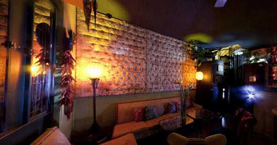 Drosophyla Drosophyla