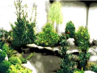 Floricultura Emoções