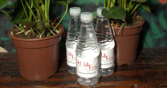 Chilli Rose Club Chilli Rose Club