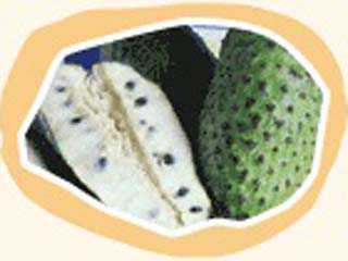 Taperebá Sorvetes - Moema