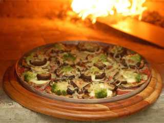 Armazém do Gato Gordo Armazém do Gato Gordo