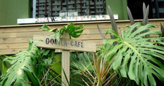 Gorila Café