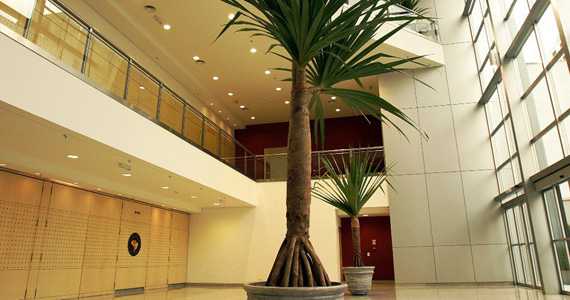 Hakka Eventos Hakka Eventos