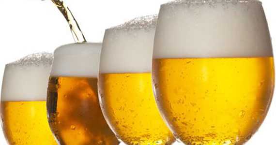 Cervejaria Leão da Terra Cervejaria Leão da Terra