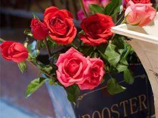 Original Shundi Original Shundi