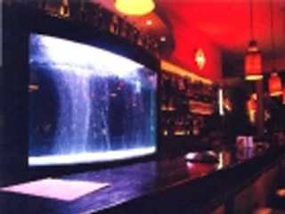 Punta Cana Punta Cana