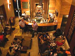 Café Kopi Luwak é a grande novidade do Santo Grão Café Kopi Luwak é a grande novidade do Santo Grão