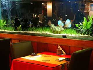 Taberna Japonesa Quina Do Futuro   