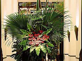 Thai Gardens Thai Gardens