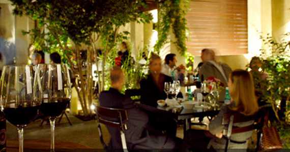 Vinea Store, Importadora e Wine Bar