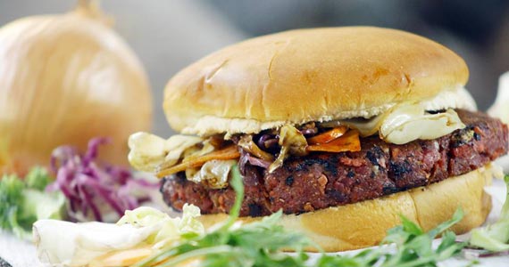 Animalchef Animalchef