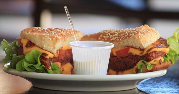 Animalchef Animalchef