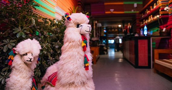 Barranco Pisco Bar Barranco Pisco Bar