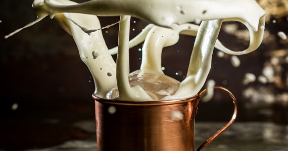 Mule Mule Muleria Mule Mule Muleria