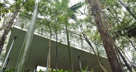 Casa de Vidro Lina Bo Bardi
