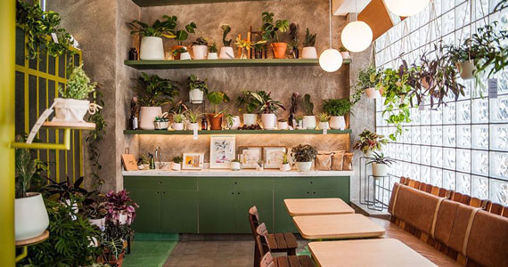 Modernista Coffee Stories Modernista Coffee Stories