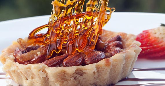 Donna Pinha Donna Pinha