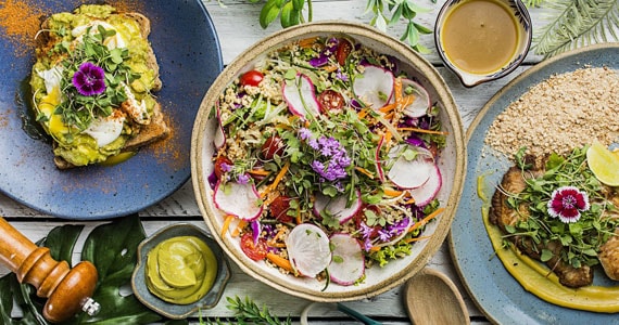 Casa Graviola - Itaim Bibi