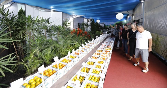 Akimatsuri - Mogi das Cruzes