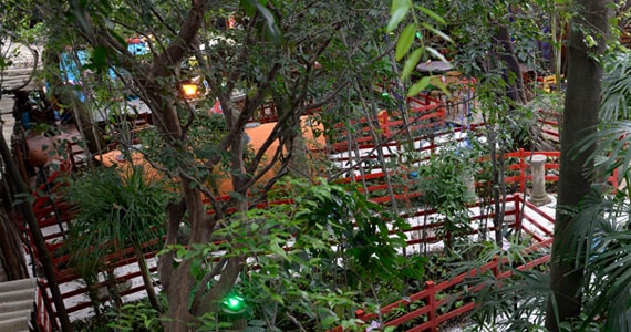 Chácara Turma da Mônica - Restaurante & Loja Chácara Turma da Mônica - Restaurante & Loja