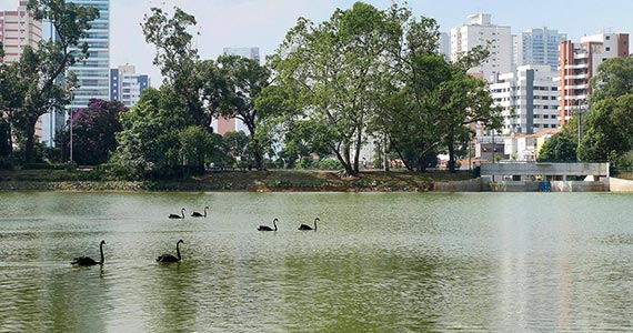 Parque da Aclimação