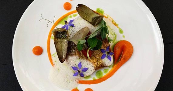 Petí Panamericana - Angélica