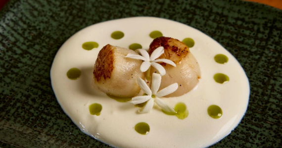 Il Segreto Gastro Vino Il Segreto Gastro Vino