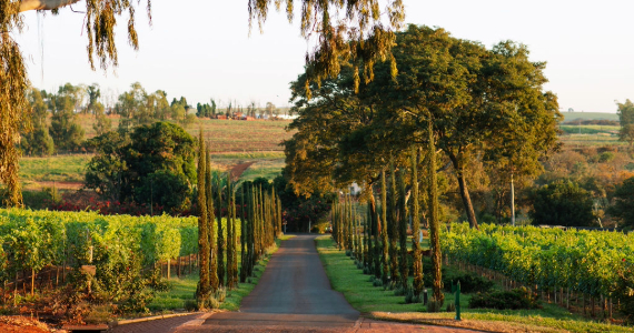 Osteria Elisabetta Osteria Elisabetta