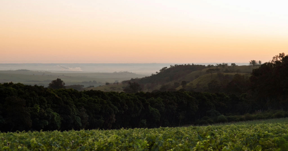 Osteria Elisabetta Osteria Elisabetta