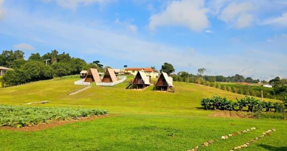 Sítio Quintal das Alcachofras