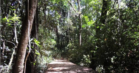 Prefeitura Municipal de Serra Negra