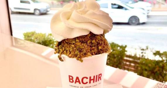 Bachir Brasil Bachir Brasil