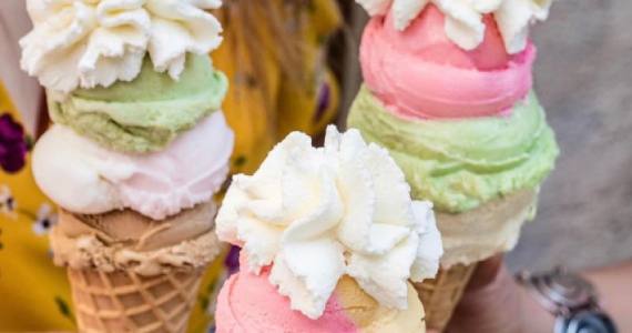 Bachir Brasil Bachir Brasil