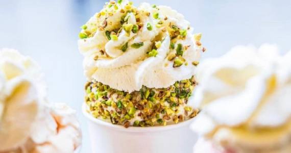 Bachir Brasil Bachir Brasil